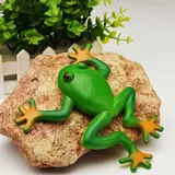 Cute Mini Frog Stress Relief Toy