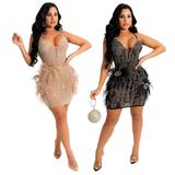 Feather Applique and Rhinestone Dress