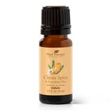 Citrus Spice & Everything Nice Essential Oil Blend