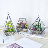  air planter hanging decorative glass geometric terrarium glass terrarium container