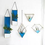 LEAD-FREE stained glass terrarium air plant holder Plant Terrarium Modern Artistic Wall Hanging Terrarium