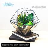 Black Geometric Glass Terrarium Planter Handmade Small Pentagon Flower Pot for Succulents Air Plants Tabletop Decor Terrarium