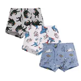 Custom Kids Organic Cotton Toddler Underwear